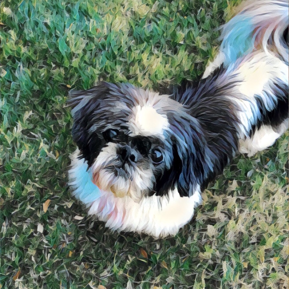 Meet your Posher, Megan